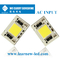 AC 200-240V COB LED-Chips DOB 4060 30W 50W für LED-Außenbeleuchtung